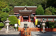 お客様の声　株式会社コピンピア様